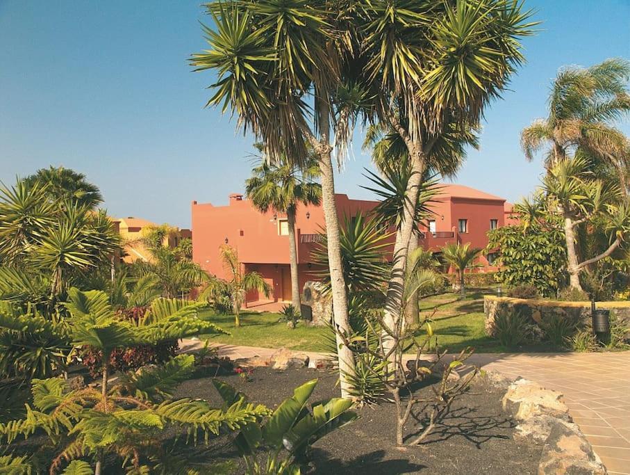 Alma House, Cool Pool Corralejo! Apartment *