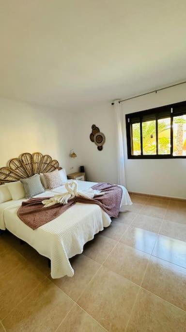 Alma House, Cool Pool Corralejo! *